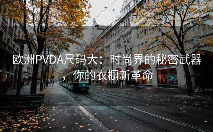 欧洲PVDA尺码大：时尚界的秘密武器，你的衣橱新革命