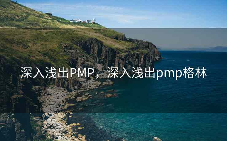 深入浅出PMP，深入浅出pmp格林